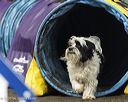 20260613-ccm-3007