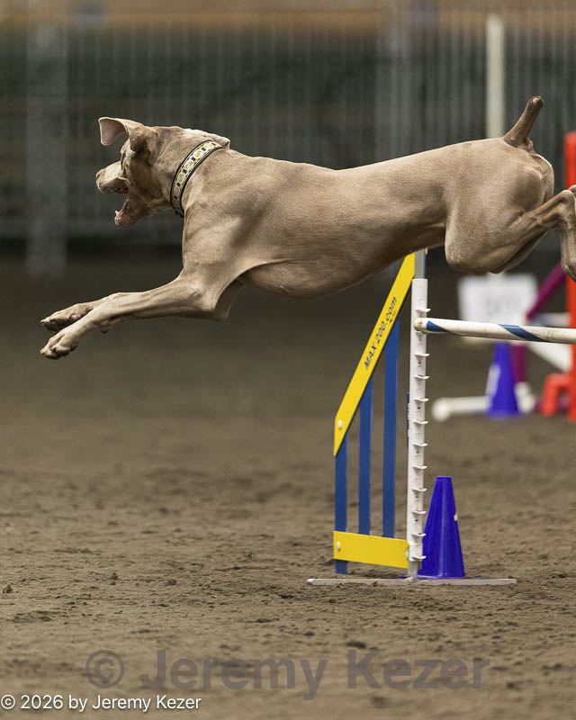 20260613-ccm-3062.jpg