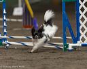 20260613-ccm-1012