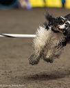 20260613-ccm-1039