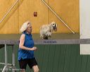 20260613-ccm-1191