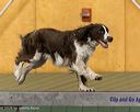 20260613-ccm-1253