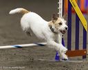 20260614-ccm-0533