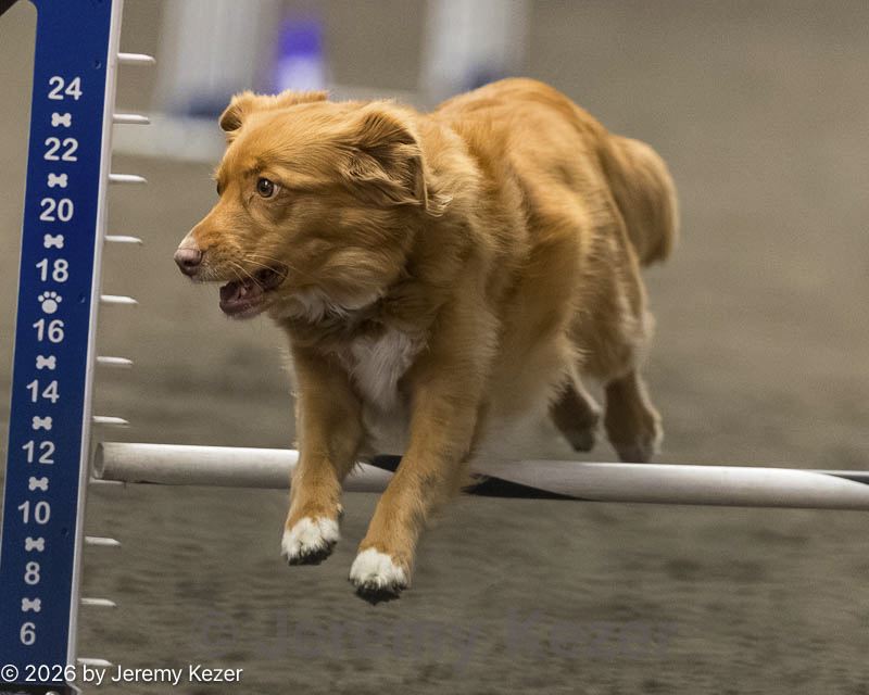 20260614-ccm-0505.jpg