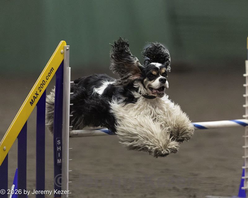 20260614-ccm-0418.jpg