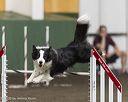 20260614-ccm-0337