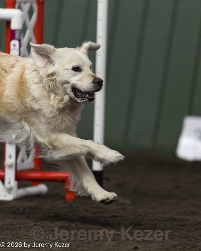 20260614-ccm-0189.jpg