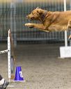 20260614-ccm-0054