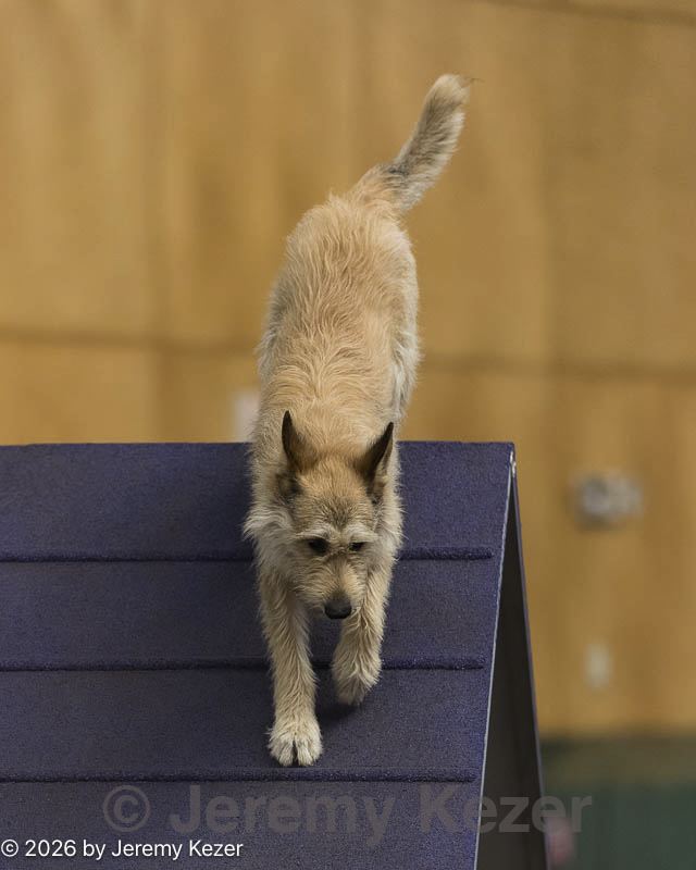 20260614-ccm-0045.jpg