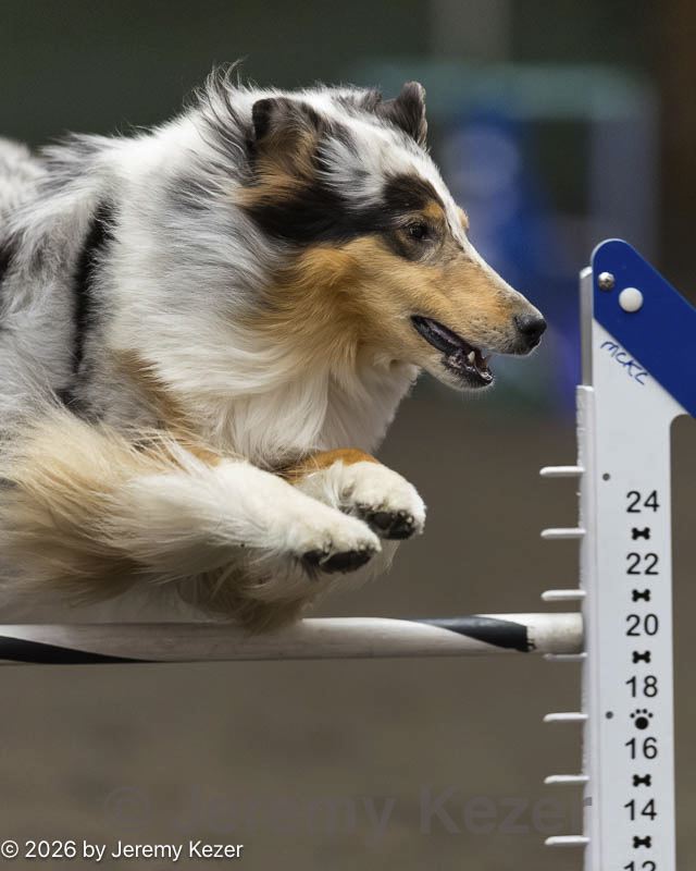 20260614-ccm-0100.jpg
