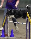 20260614-ccm-1296