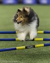 20260627-stcgny-1003