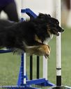 20260627-stcgny-0949