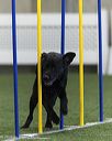 20260627-stcgny-0342