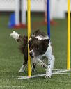 20260627-stcgny-0426