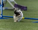 20260627-stcgny-2190