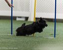 20260627-stcgny-2189