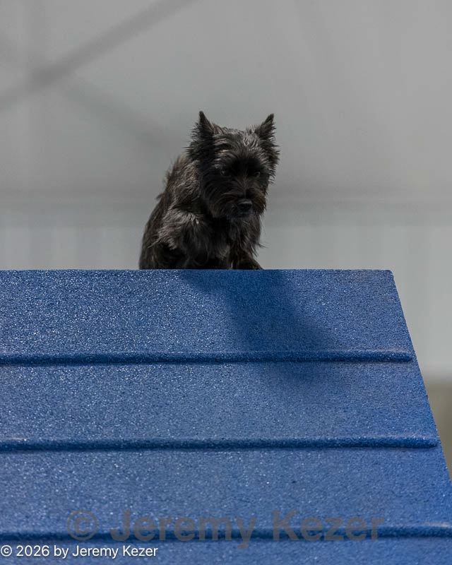 20260627-stcgny-2184.jpg