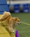 20260627-stcgny-2139
