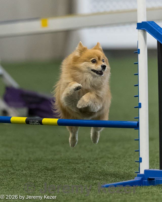 20260627-stcgny-2135.jpg