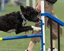 20260627-stcgny-2024