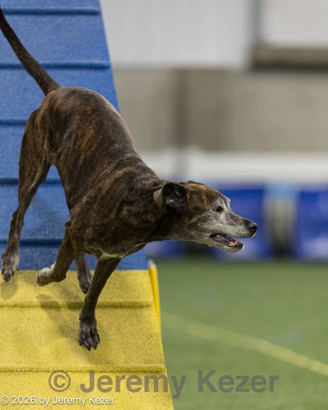 20260627-stcgny-2092.jpg