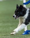 20260627-stcgny-2282