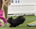 20260627-stcgny-2244