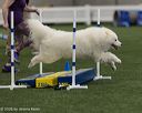 20260627-stcgny-2226