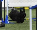 20260628-stcgny-1139