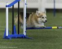 20260628-stcgny-1189
