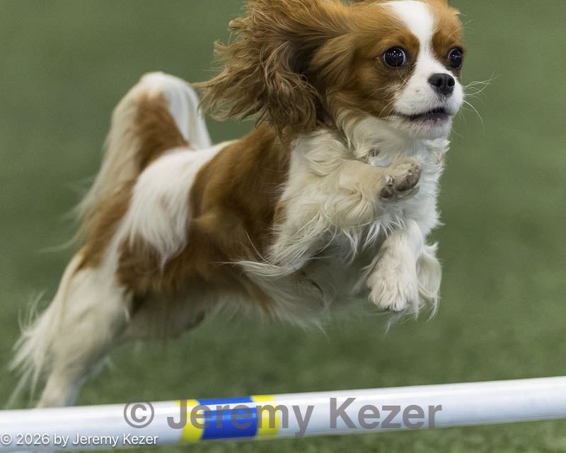 20260628-stcgny-1201.jpg