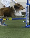 20260628-stcgny-1248