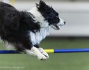 20260628-stcgny-1367
