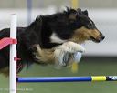 20260628-stcgny-1473