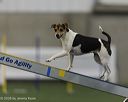 20260628-stcgny-0103