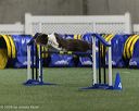 20260628-stcgny-0235
