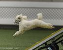 20260628-stcgny-0314