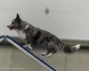 20260628-stcgny-0348