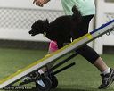 20260628-stcgny-0352