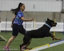 20260628-stcgny-0518
