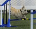 20260628-stcgny-1542