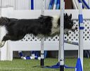 20260628-stcgny-1547