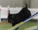 20260628-stcgny-1072