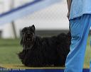 20260628-stcgny-1073