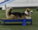 20260628-stcgny-1080