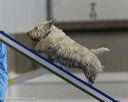 20260628-stcgny-1087