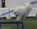 20260628-stcgny-1107