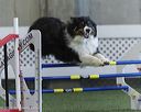 20260628-stcgny-1529