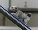 20260628-stcgny-1054